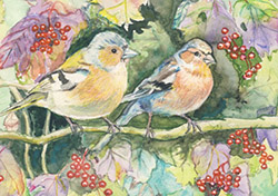Postcard: AW1068 A feast of berries