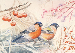 Postcard: AW1072 Bullfinch