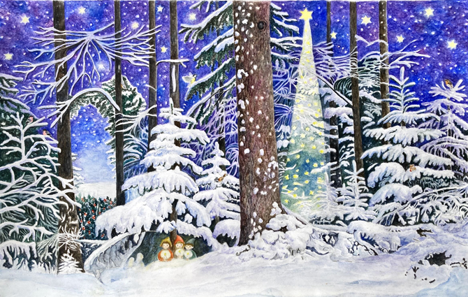 AK204 Miracle in the Forest