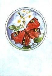 Folded card: Butterfly