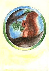 Folded card: Squirrel