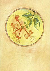 Postcard: CM6 Honeysuckle