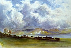 Postcard: DN123 Cattle at the loch-side