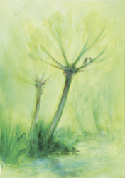 Postcard: DN194 Spring Tree