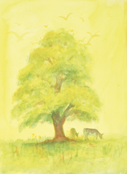 Postcard: DN195 Summer Tree
