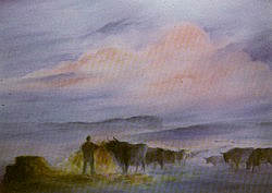 Postcard: Feeding the Cattle