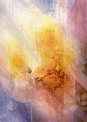 Postcard: JJ15 Rose