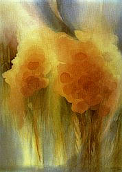 Postcard: Poppies with corn