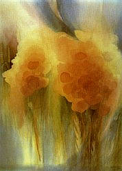 Postcard: JJ16 Poppies with corn