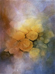 Postcard: JJ21 Light through Roses