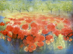 Postcard: Field of red poppies