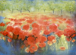 Postcard: JJ41 Field of red poppies
