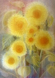Postcard: JJ8 Sun - Flowers Postcard: JJ8 Sun - Flowers