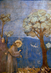 Postcard: St. Francis Preaching to the Birds