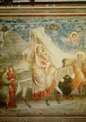 Postcard: Giotto0705 Flight to Egypt