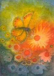 Postcard: JSG3831 Summer Butterfly