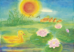 Postcard: DS5189 Duck in Water-lily Pond