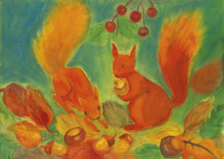Postcard: DS5195 Squirrels