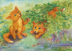 Postcard: Foxes playing