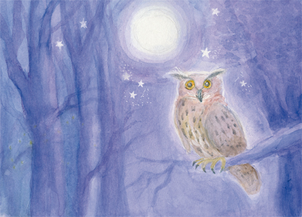 Postcard: DS5624 The Owl at Full Moon