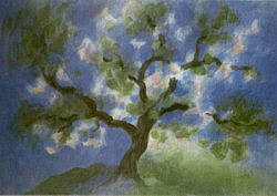 Postcard: M37 Apple blossoms