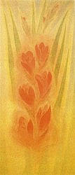 Postcard: MH7 Irises