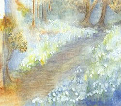 Postcard: NF8 Snowdrops