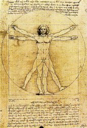 Print: Leonardo: Proportions of Man