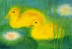Postcard: DS3074 Two ducks in a pond