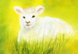 Postcard: DS3077 The white lamb