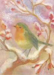 Postcard: Robin on rosehip bush