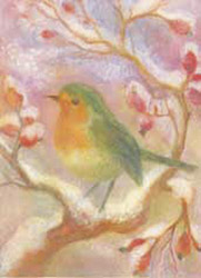 Postcard: AK5047 Robin on rosehip bush