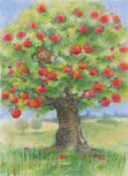 Postcard: Gnome in Appletree