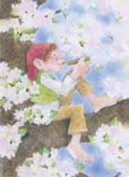Postcard: SD5072 Apple blossom