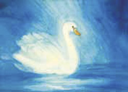 Postcard: DS5187 Swan