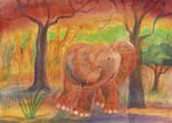Postcard: DS5192 Elephant