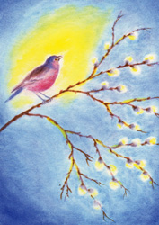 Postcard: Bird sitting on branch
