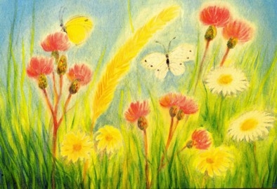 Postcard: Flowers and Butterflies