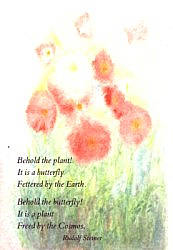Folded card: WG98 Behold the plant
