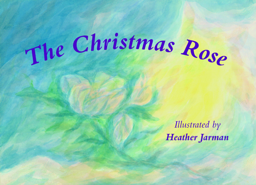 Christmas Rose, The