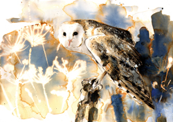 The Owl Christmas Card