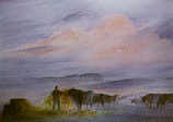 Postcard: DN25 Feeding the Cattle