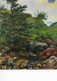 Postcard: Stream with tree and rocks