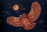 Postcard: DK22 Owl at Midnight