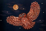 Postcard: Owl at Midnight