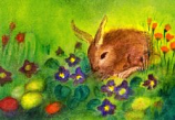 Postcard: Spring – Easterhare