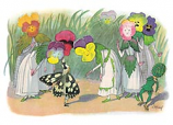 Postcard: EK3497 Pansies