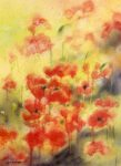 Postcard: JdK7.008 Poppies