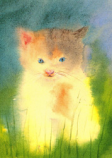 Postcard: Little Kitten