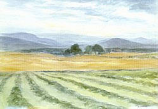 Postcard: DN117 Haymaking